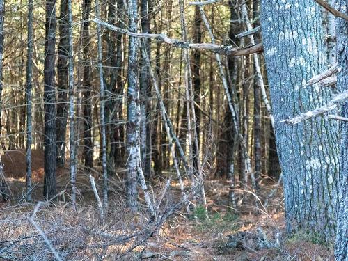 Lot Ss-1 Maple Drive, Lower Ohio, NS 