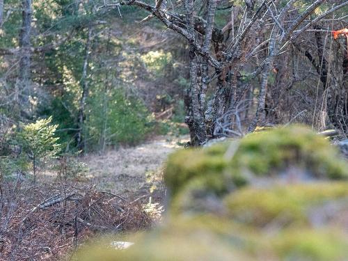 Lot Ss-1 Maple Drive, Lower Ohio, NS 