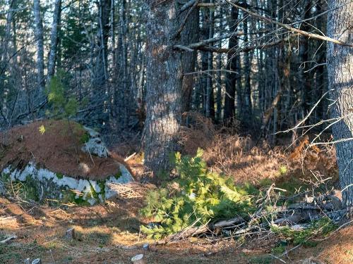Lot Ss-1 Maple Drive, Lower Ohio, NS 