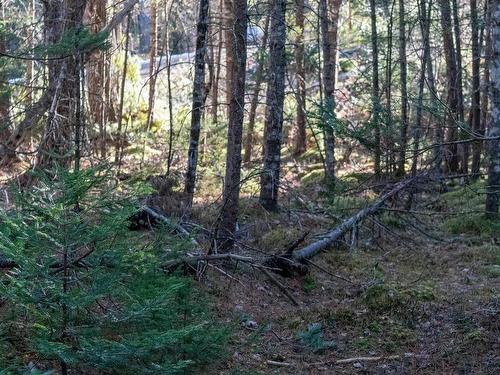 Lot Ss-1 Maple Drive, Lower Ohio, NS 