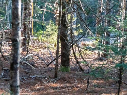 Lot Ss-1 Maple Drive, Lower Ohio, NS 