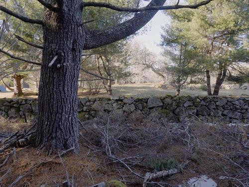 Lot Ss-1 Maple Drive, Lower Ohio, NS 