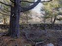 Lot Ss-1 Maple Drive, Lower Ohio, NS 
