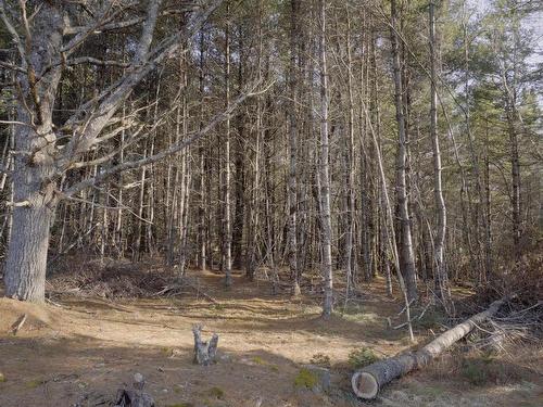 Lot Ss-1 Maple Drive, Lower Ohio, NS 