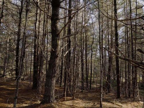 Lot Ss-1 Maple Drive, Lower Ohio, NS 