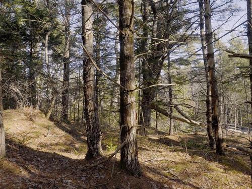 Lot Ss-1 Maple Drive, Lower Ohio, NS 