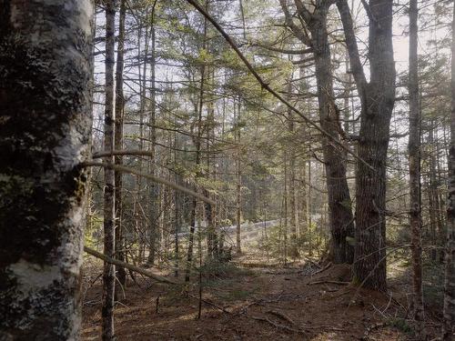 Lot Ss-1 Maple Drive, Lower Ohio, NS 