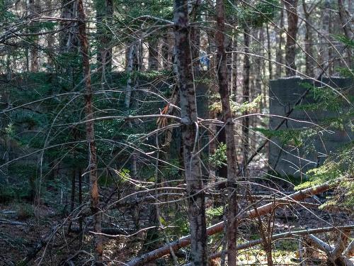 Lot Ss-1 Maple Drive, Lower Ohio, NS 