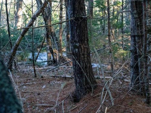 Lot Ss-1 Maple Drive, Lower Ohio, NS 