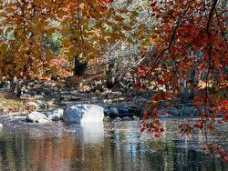 Lot SS-2 Maple Drive  Lower Ohio, NS B0T 1W0