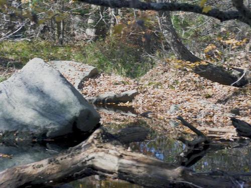 Lot 3 Maple Drive, Lower Ohio, NS 