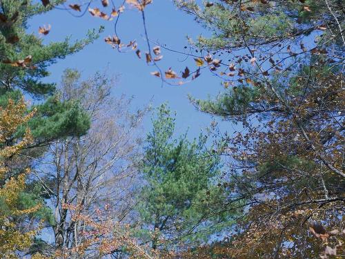 Lot 3 Maple Drive, Lower Ohio, NS 