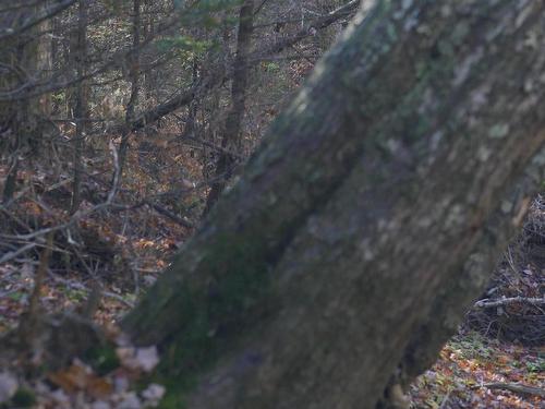 Lot 3 Maple Drive, Lower Ohio, NS 