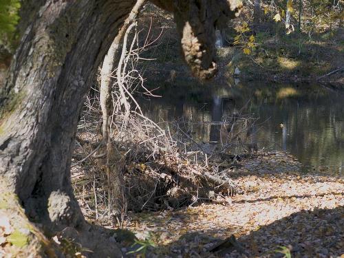 Lot 3 Maple Drive, Lower Ohio, NS 