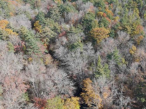 Lot 3 Maple Drive, Lower Ohio, NS 