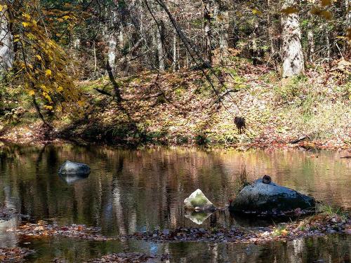 Lot 3 Maple Drive, Lower Ohio, NS 