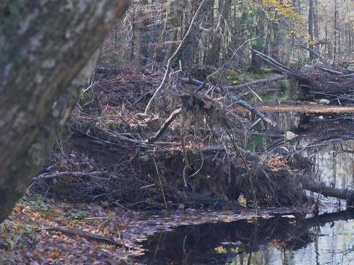 Lot 3 Maple Drive, Lower Ohio, NS 