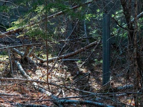 Lot 3 Maple Drive, Lower Ohio, NS 