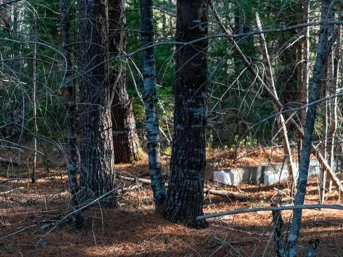 Lot 3 Maple Drive, Lower Ohio, NS 