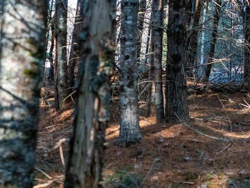 Lot 3 Maple Drive, Lower Ohio, NS 