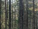 Lot 13 Maple Drive, Lower Ohio, NS 