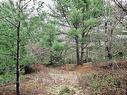 Lot 13 Maple Drive, Lower Ohio, NS 
