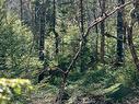 Lot 14 Maple Drive, Lower Ohio, NS 