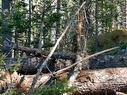Lot 14 Maple Drive, Lower Ohio, NS 
