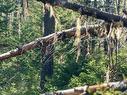 Lot 14 Maple Drive, Lower Ohio, NS 