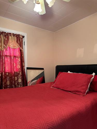 Chambre à coucher - 10532 Av. Pigeon, Montréal (Montréal-Nord), QC - Indoor Photo Showing Bedroom