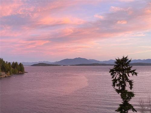 326 Tower Rd, Bamfield, BC 