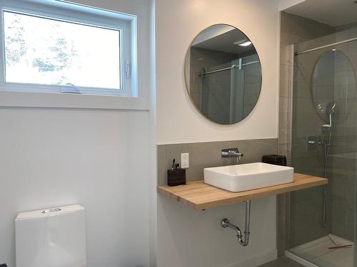Ensuite bathroom - 174 Ch. Du Tour-Du-Lac, Lac-Supérieur, QC - Indoor Photo Showing Bathroom