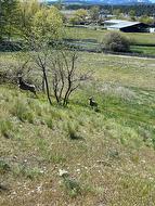 2400 22ND  N Street  Cranbrook, BC V1C 4J1