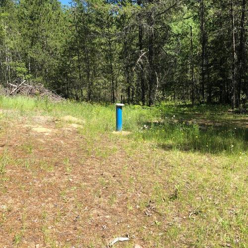 8045 95 Highway, Kingsgate, BC 