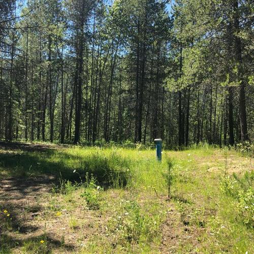 8045 95 Highway, Kingsgate, BC 