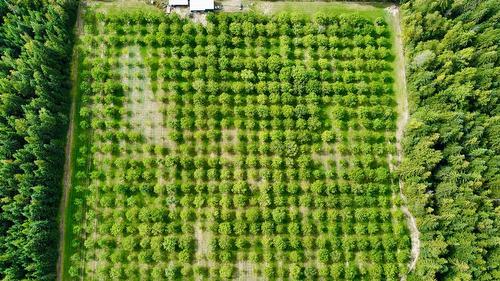 Lots 71-72 Harrison Road, Arrow Park, BC - Outdoor