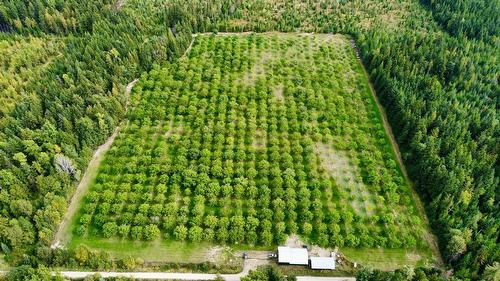Lots 71-72 Harrison Road, Arrow Park, BC - Outdoor