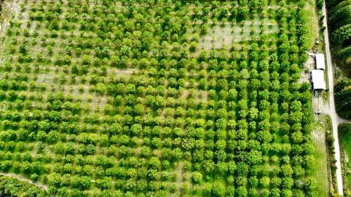 Lots 71-72 Harrison Road, Arrow Park, BC - Outdoor