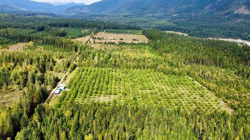 Lots 71-72 Harrison Road, Arrow Park, BC - Outdoor With View