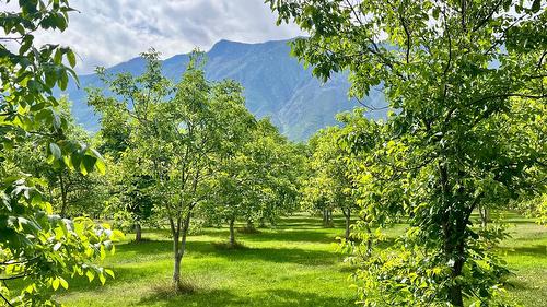 Lots 71-72 Harrison Road, Arrow Park, BC - Outdoor