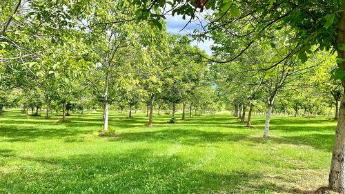 Lots 71-72 Harrison Road, Arrow Park, BC - Outdoor