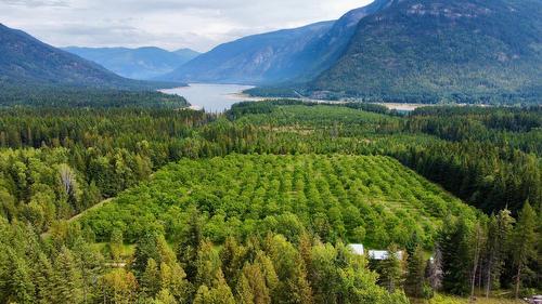 Lots 71-72 Harrison Road, Arrow Park, BC - Outdoor With View