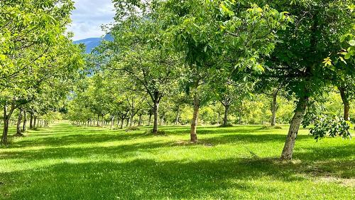 Lots 71-72 Harrison Road, Arrow Park, BC - Outdoor