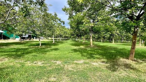 Lots 71-72 Harrison Road, Arrow Park, BC - Outdoor