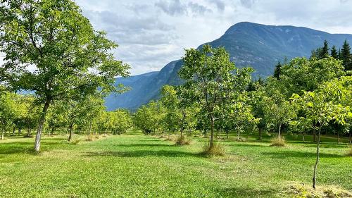 Lots 71-72 Harrison Road, Arrow Park, BC - Outdoor With View