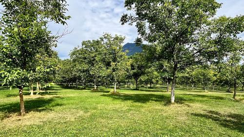 Lots 71-72 Harrison Road, Arrow Park, BC - Outdoor