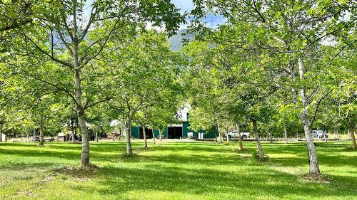 Lots 71-72 Harrison Road, Arrow Park, BC - Outdoor