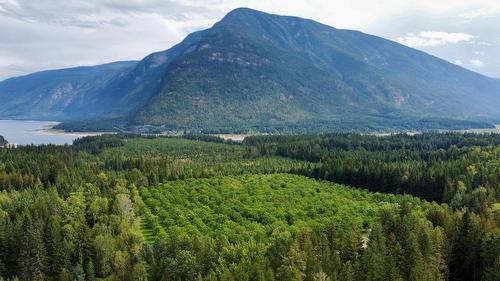 Lots 71-72 Harrison Road, Arrow Park, BC - Outdoor With View