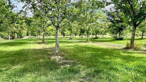 Lots 71-72 Harrison Road, Arrow Park, BC - Outdoor