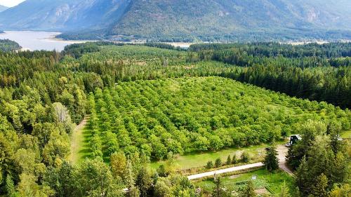 Lots 71-72 Harrison Road, Arrow Park, BC - Outdoor With View